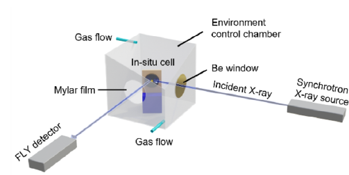 IN-SITU cell.png